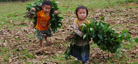 Vietnam