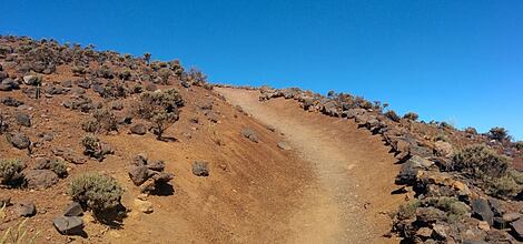 Transvulcania 2014