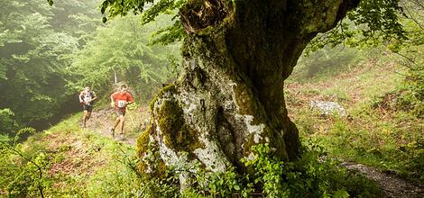 Zegama 2014