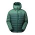 pine/fern