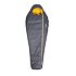 anthracite/gold