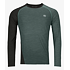 dark arctic grey