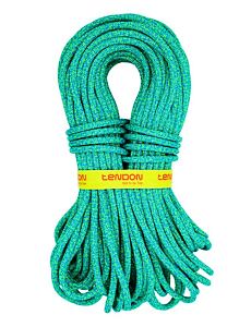 Tendon Anniversary 9,5 Complete Shield 60m
