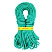 Tendon lano Anniversary 9,5 Complete Shield 60m