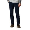 Columbia Silver Ridge II Cargo Pants