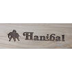 Hanibal balkna HaniBoard